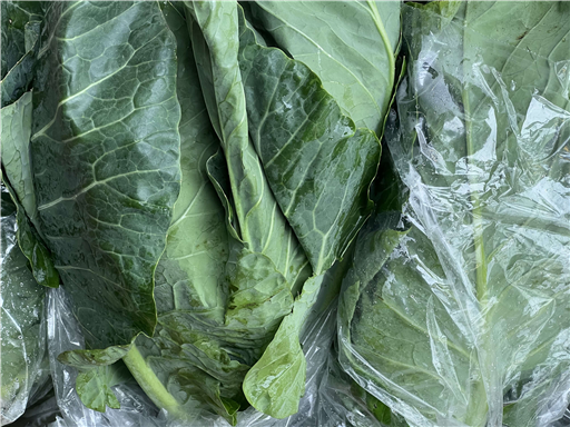 Organic Spring Greens