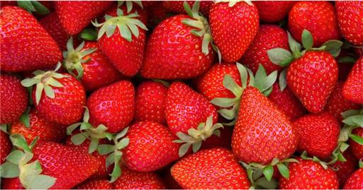 Strawberries 1kg  * OFFER*