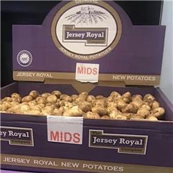 Potatoes Jersey Royals