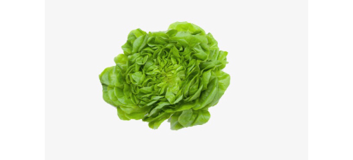 Lettuce Flat