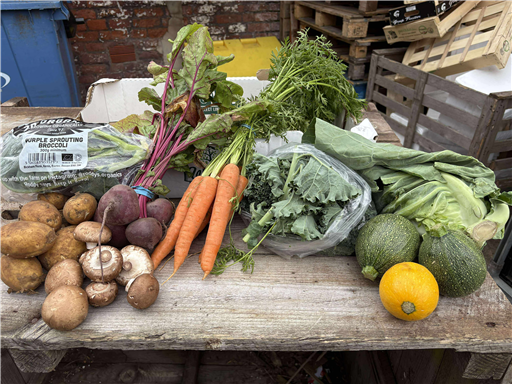 The Organic Essentials Veg Box