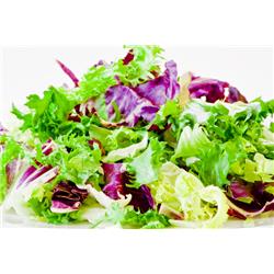Lettuce Garden Salad