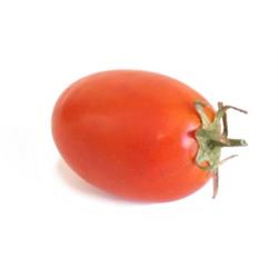 Plum Tomatoes