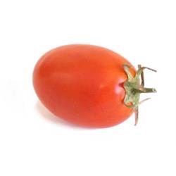 Tomato Plum