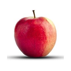 Apples 'Mystery Apple' Bag