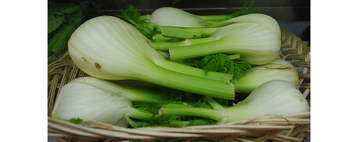 Organic Fennel Bulbs