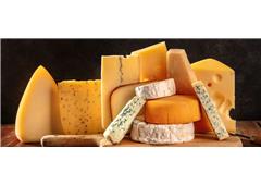 Eggs, Cheese & Dairy