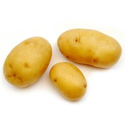 Potatoes Washed Mids "Maris Peer"