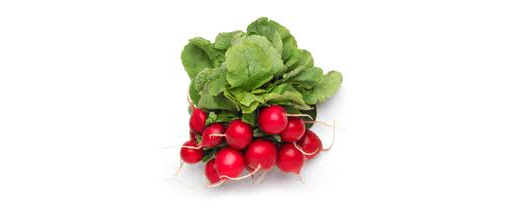 Radish Bunched