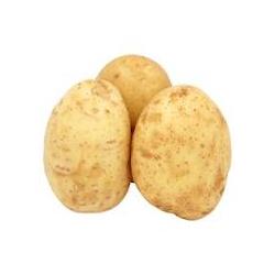 Potatoes Baking Box Of 40