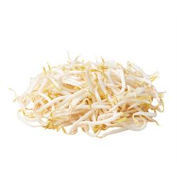 Beansprouts