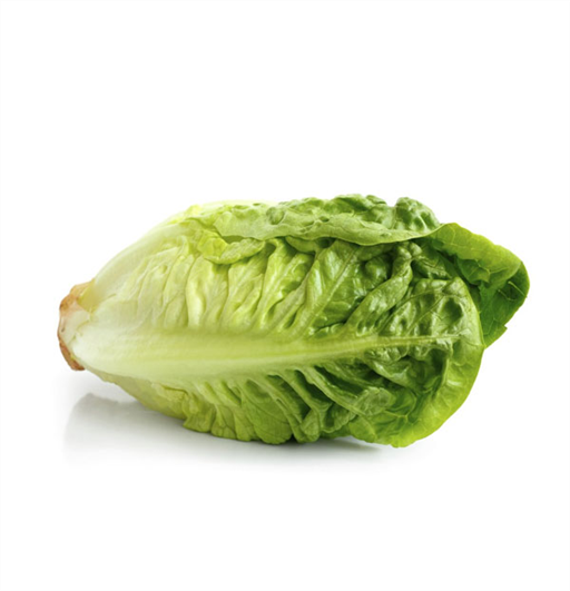 Lettuce Little Gem