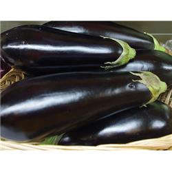 Organic Aubergine