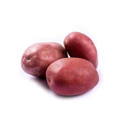 Potatoes Washed Reds 'Mozart' 2kg Bag