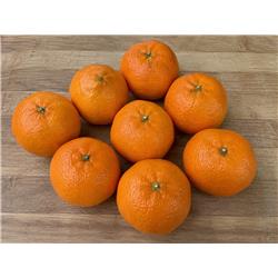Nadorcott Punnet x8