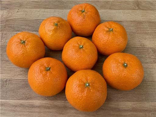 Nadorcott Punnet x8