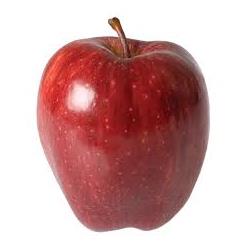 Apple Red Chief