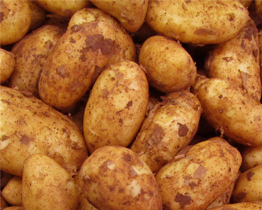 Potatoes Cyprus Spunta