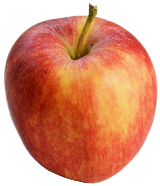 Apple Royal Gala