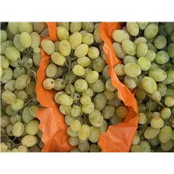 Organic White Grapes 'Vittoria'