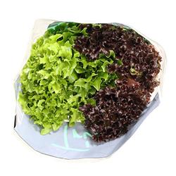 Lettuce Trio