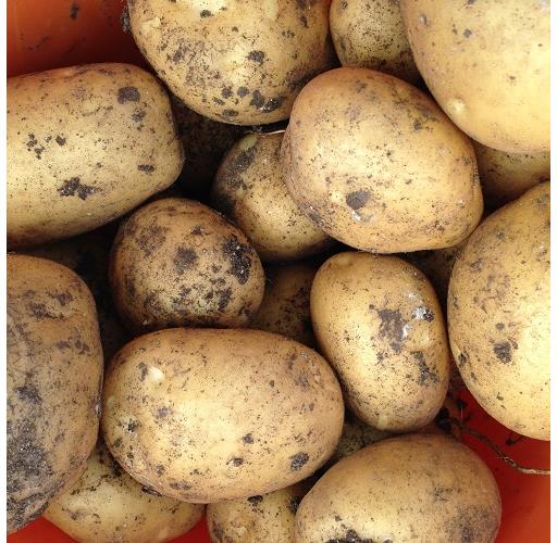 Potatoes Marfona 25kg Sack