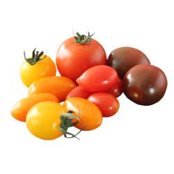 Tomatoes Mixed Baby Plum