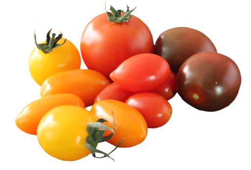 Tomatoes Mixed Baby Plum