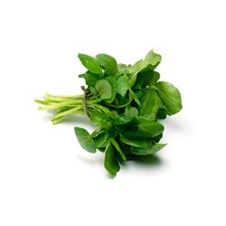 Watercress Pack
