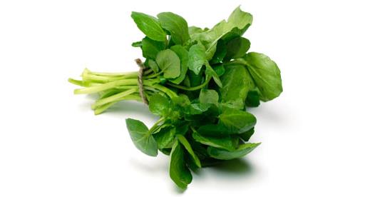Watercress Pack