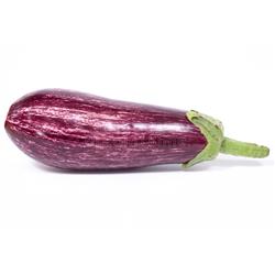 Aubergine Graffiti
