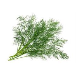 Herb Dill 20g (Herbs Unlimited)