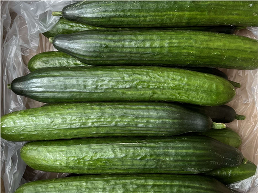 Organic Cucumber