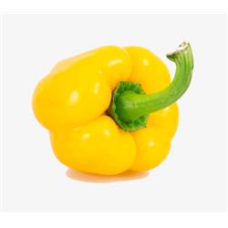 Pepper - Yellow