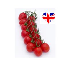 Tomatoes Cherry-Vine Local