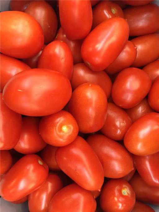 Tomatoes Baby Plum Pack