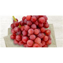 Grape Flame Pack