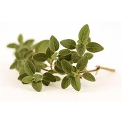 Herb Oregano (Herbs Unlimited) 20g