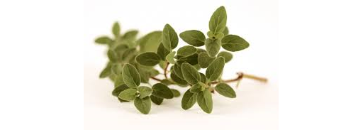 Herb Oregano 20g