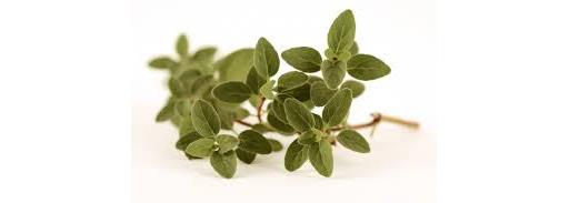 Herb Oregano (Herbs Unlimited) 20g