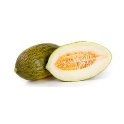 Melon Frogskin