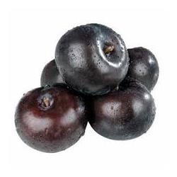Plum Pack Black Splendour