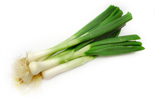 Spring Onion Bunch