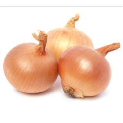 Onions Pickling Net
