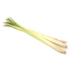 Lemon Grass