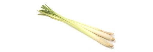 Lemon Grass