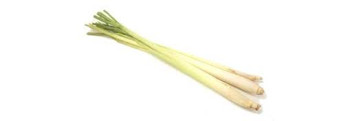 Lemon Grass