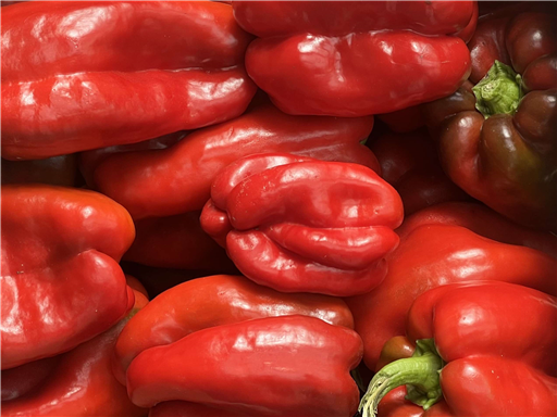 Organic Red Peppers