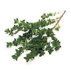 Herb Thyme 20g (Herbs Unlimited)