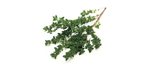 Herb Thyme 20g